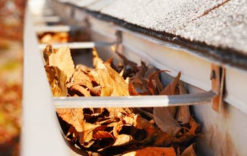 Philadelphia gutter cleaning companies