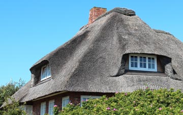 thatch roofing Philadelphia, Tyne And Wear