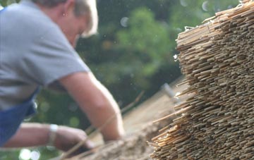 professional Philadelphia thatchers